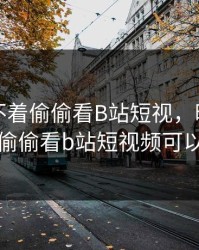 晚上睡不着偷偷看B站短视，晚上睡不着偷偷看b站短视频可以吗