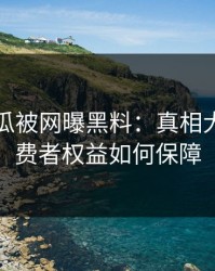国产吃瓜被网曝黑料：真相大白，消费者权益如何保障
