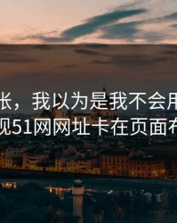 不是夸张，我以为是我不会用，后来发现51网网址卡在页面布局